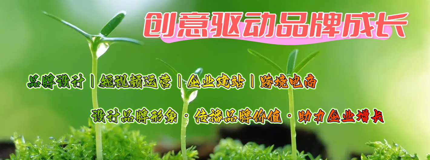 品牌视觉服务：塑造品牌形象，提升企业竞争力